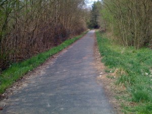 wald_ffm