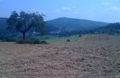 Schicke Aussicht. Irgendwo im Taunus...:)