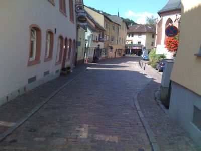 Eppsteiner Altstadt, aus voller Fahrt fotografiert. Dadurch kommt die Verzerrung, die Häuser sind sonst gerade